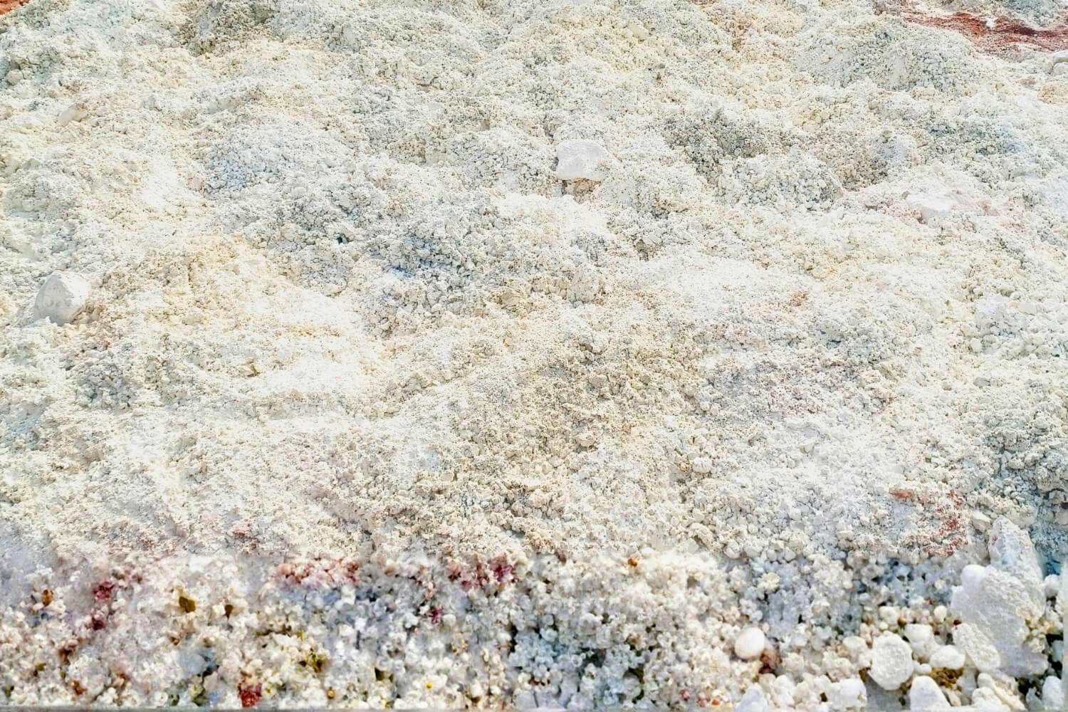 Roshid Mostan Traders 2