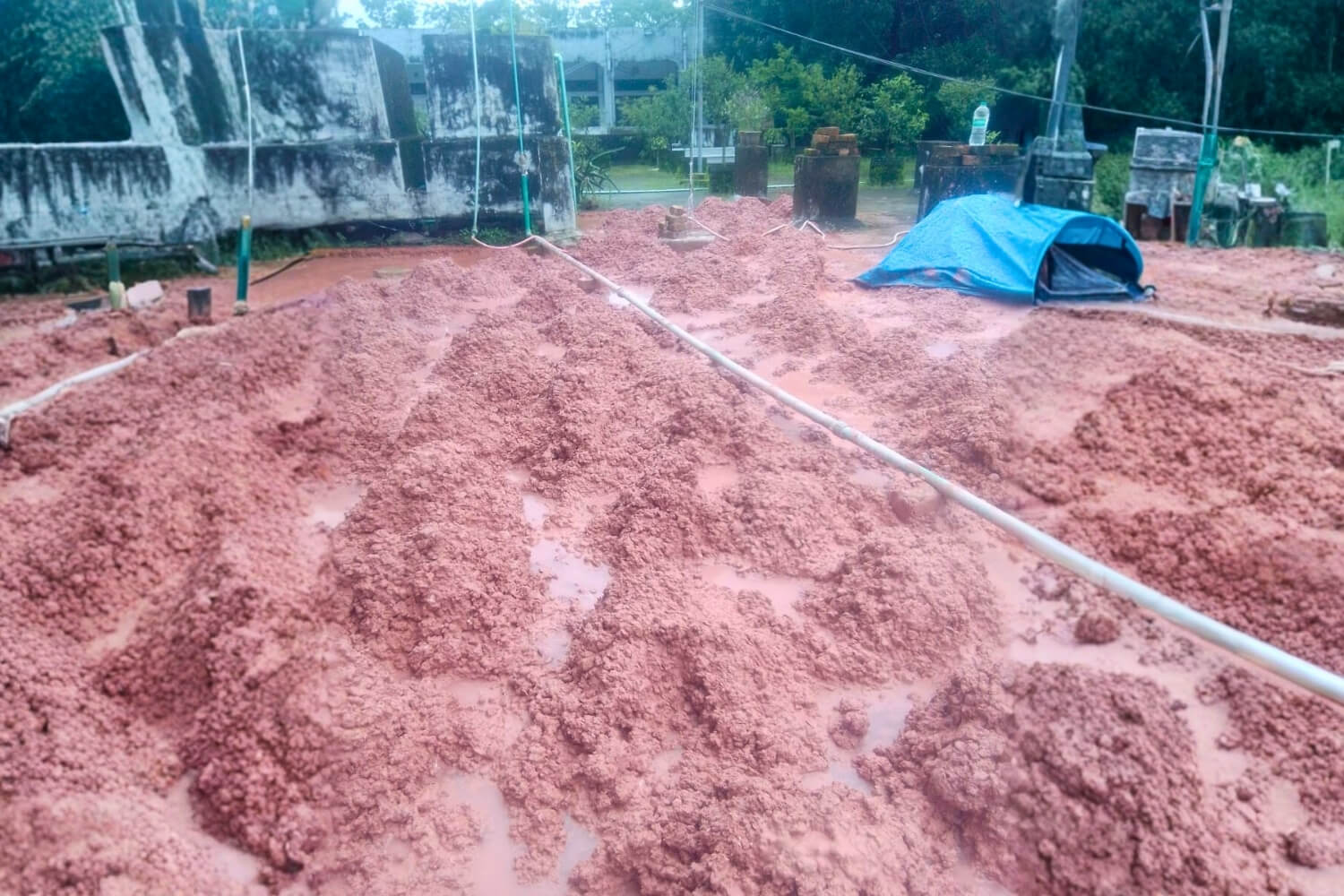 Roshid Mostan Traders 6